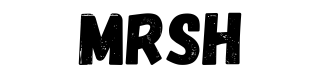 Md Mahamudur Rahman Salman Hafeez website logo